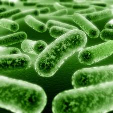 Patentability of Microorganisms
